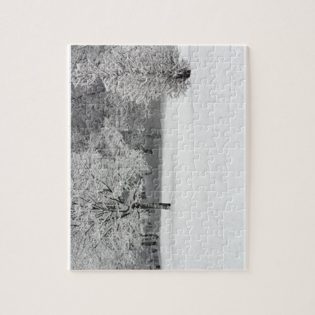 Puzzle Nieve en el parque (Vertical)