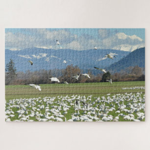 Puzzle Nieve en un campo