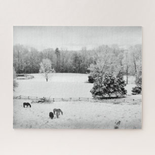 Puzzle Nieve fresca caída en el rancho de caballos - 16x2