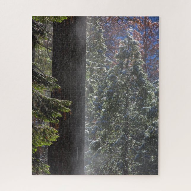 Puzzle Nieve niebla en el bosque (Vertical)