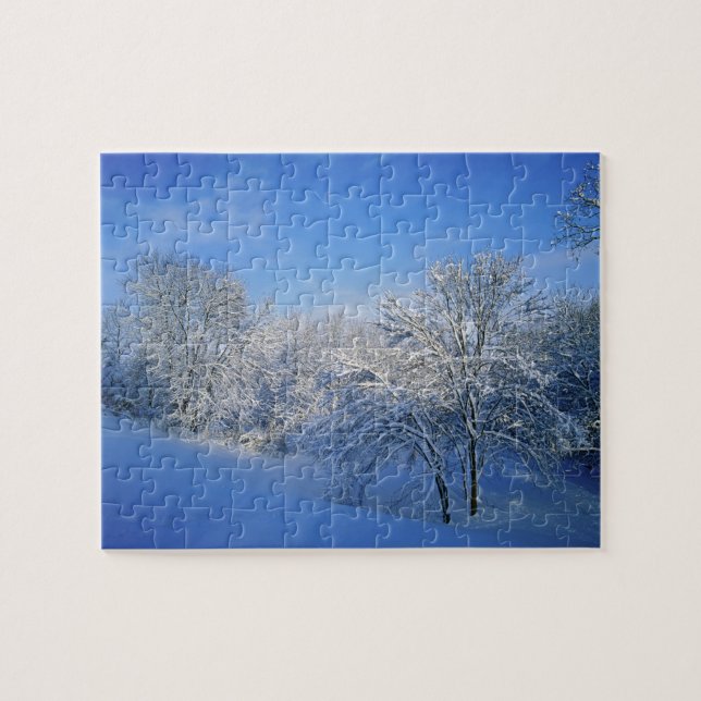 Puzzle Nieve récord en Louisville, Kentucky. (Horizontal)