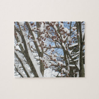 Puzzle Nieve sobre una arce japonesa —