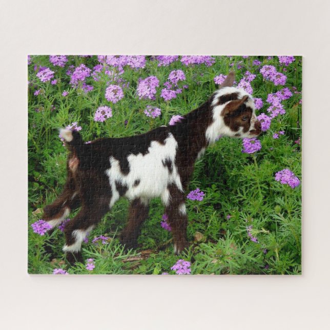 Puzzle Nigeriano brillante niño de cabra enana con flores (Horizontal)