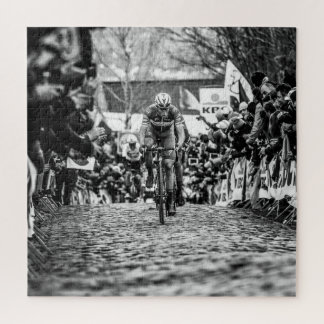 Puzzle Niki en Kwaremont - RVV2018