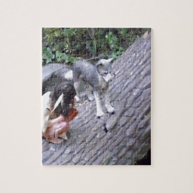 Puzzle Niño nativo americano indio con imagen de lobo (Vertical)