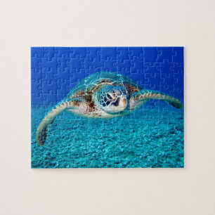 Puzzle Niños bajo el agua 110 piezas Tortuga marina Jigsa