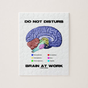 Puzzle No perturbe el cerebro en el trabajo (el humor
