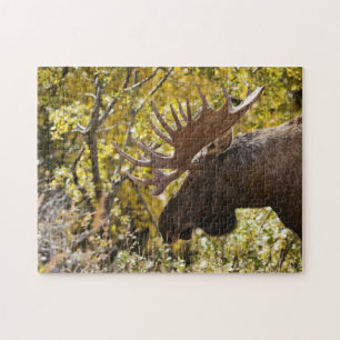 Puzzle Noble Bull Moose