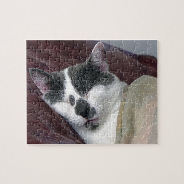 Puzzle Nomenclatura de gatos (Horizontal)