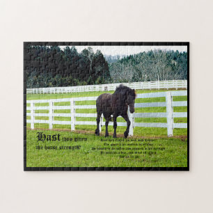 Puzzle Nonesuch en Cedar Point w Job 39