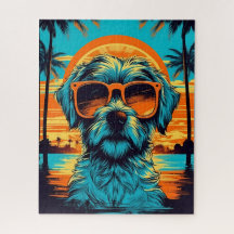 Norfolk Terrier con gafas de sol en la playa