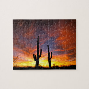 Puzzle Norteamérica, EE. UU., Arizona, Desierto de Sonora