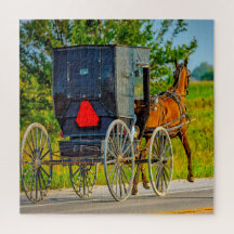 Nos encantan los carruajes Amish en Iowa.