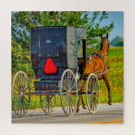 Puzzle Nos encantan los carruajes Amish en Iowa.