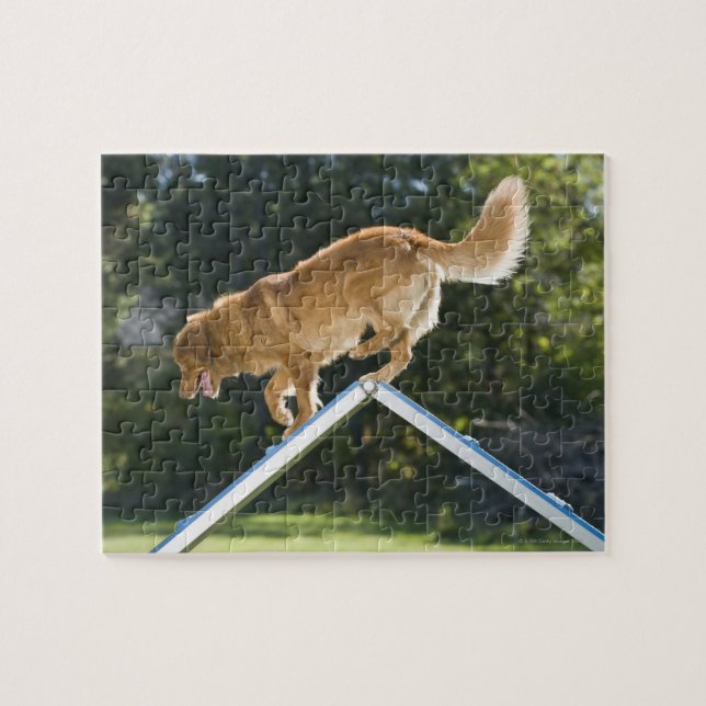 Puzzle nova scotia duck tolling (Horizontal)