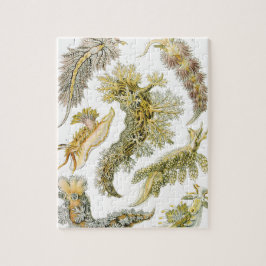 Puzzle Nudibranquia vintage, manchas marinas por Ernst Ha