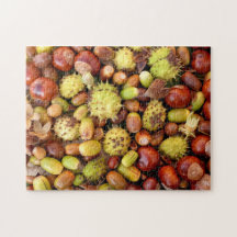 Nueces y conkers del otoño