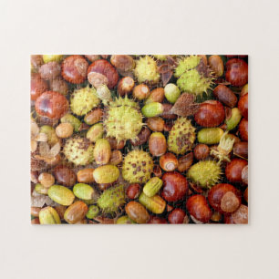 Puzzle Nueces y conkers del otoño