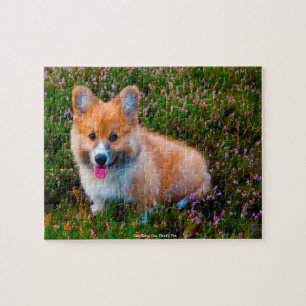 Puzzle Nuestra Corgi Nuestra Mascota Familiar Rompecabeza