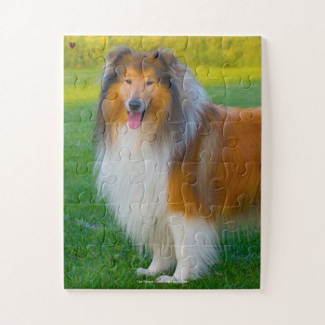 Puzzle Nuestro Collie Áspero Nuestra Mascota Familiar (Vertical)
