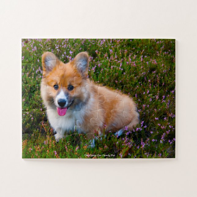 Puzzle Nuestro Corgi Nuestra Mascota Familiar (Horizontal)