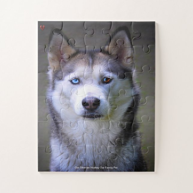 Puzzle Nuestro Huskey Siberiano Nuestro Mascota familiar (Vertical)