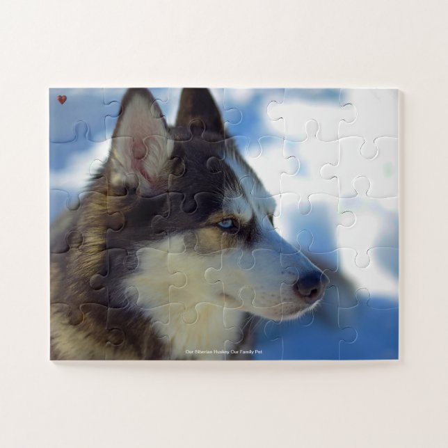 Puzzle Nuestro Huskey Siberiano Nuestro Mascota familiar (Horizontal)