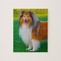 Nuestro Mascota de familia Rough Collie
