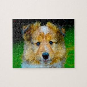 Puzzle Nuestro perro pastor de Shetland Nuestra mascota f