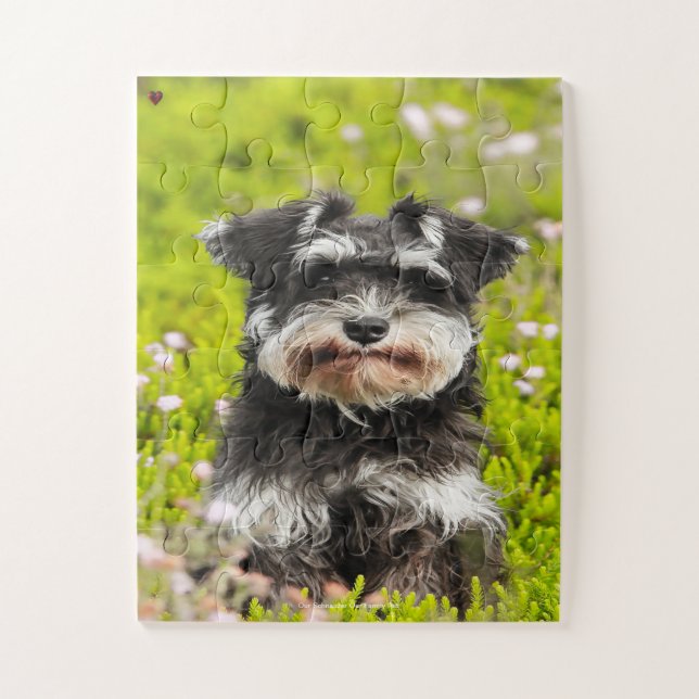Puzzle Nuestro Schnauzer Nuestra Mascota Familiar (Vertical)
