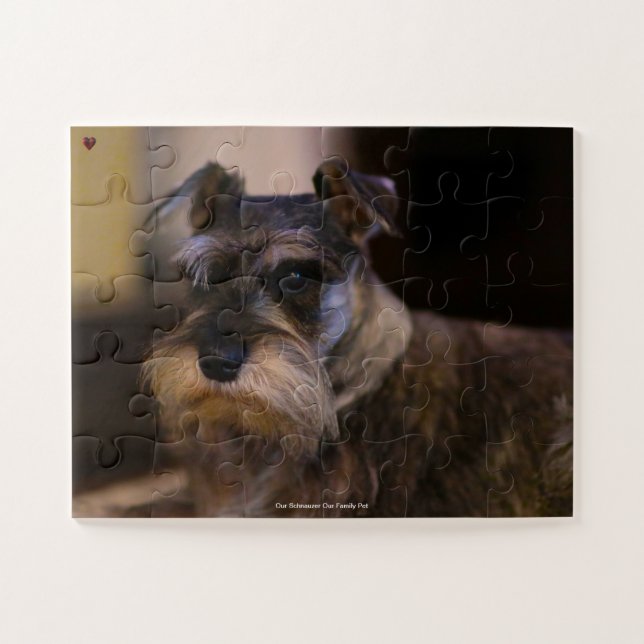 Puzzle Nuestro Schnauzer Nuestra Mascota Familiar (Horizontal)