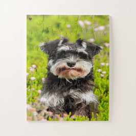 Puzzle Nuestro Schnauzer nuestro Mascota familiar