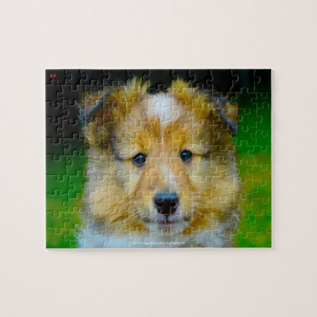 Puzzle Nuestro Sheepdog Shetland Nuestro Mascota familiar (Horizontal)