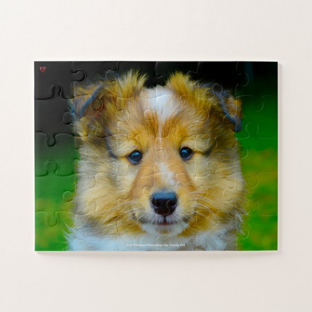 Puzzle Nuestro Sheepdog Shetland Nuestro Mascota familiar (Horizontal)