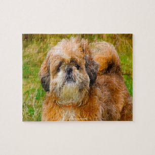 Puzzle Nuestro Shih Tzu Nuestra Mascota Familiar