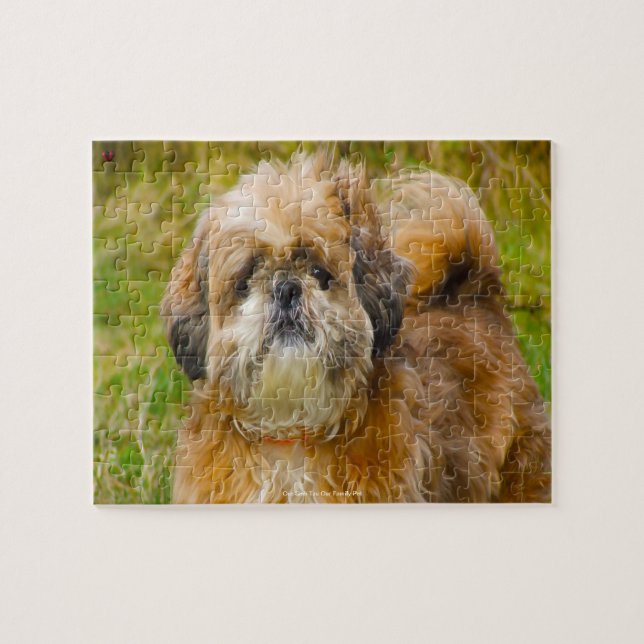 Puzzle Nuestro Shih Tzu Nuestra Mascota Familiar (Horizontal)