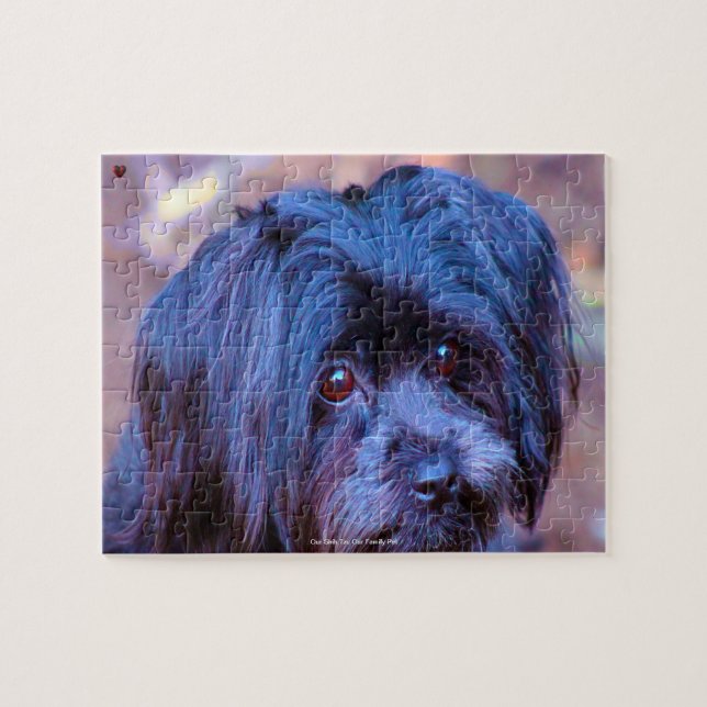 Puzzle Nuestro Shih Tzu Nuestro Mascota familiar Jigsaw P (Horizontal)