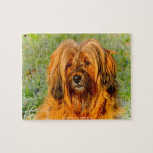 Puzzle Nuestro Terrier Tibetano Nuestra Mascota Familiar