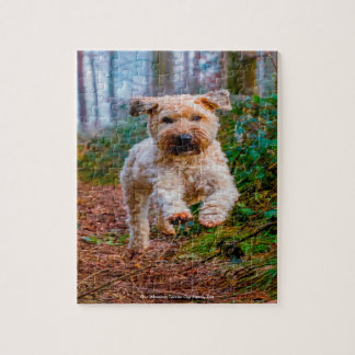 Puzzle Nuestro Terrier Wheaten Nuestra Mascota Familiar