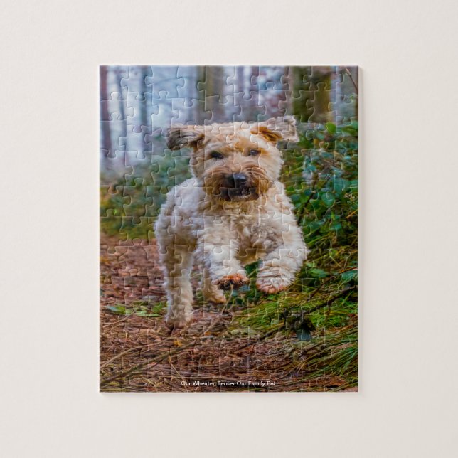 Puzzle Nuestro Terrier Wheaten Nuestra Mascota Familiar (Vertical)
