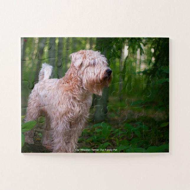 Puzzle Nuestro Terrier Wheaten Nuestra Mascota Familiar (Horizontal)