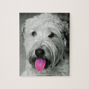 Puzzle Nuestro Terrier Wheaten Nuestra Mascota Familiar