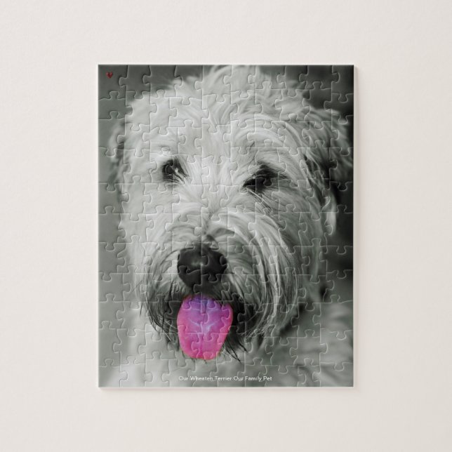 Puzzle Nuestro Terrier Wheaten Nuestra Mascota Familiar (Vertical)