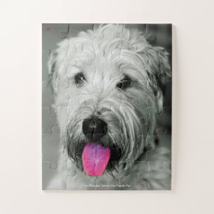 Puzzle Nuestro Terrier Wheaten Nuestra Mascota Familiar