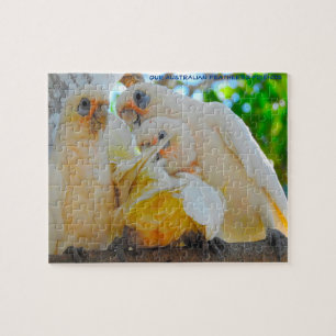 Puzzle Nuestros amigos emplumados australianos