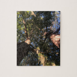 Puzzle Nueva perspectiva