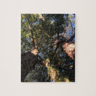 Puzzle Nueva perspectiva