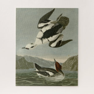 Puzzle Nun blanca o smew, de los pájaros de América de Au