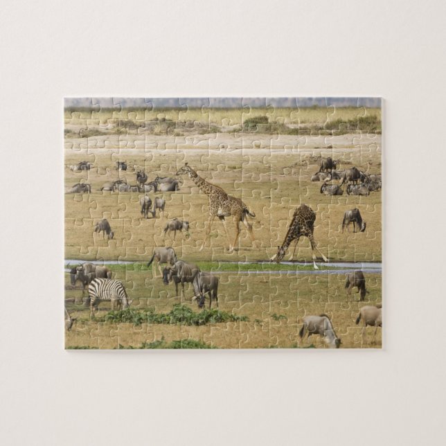 Puzzle Ñus, Cebras y Jirafas (Horizontal)
