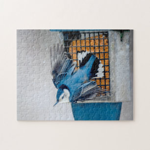 Puzzle Nuthatch blanco en nieve - foto original